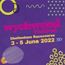 16th Annual Wychwood Festival 2022 - Day Tickets
