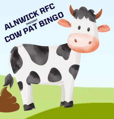 Alnwick RFC Cow Pat Bingo