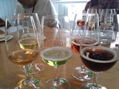 CAMRA's Tasting Panels - what they do