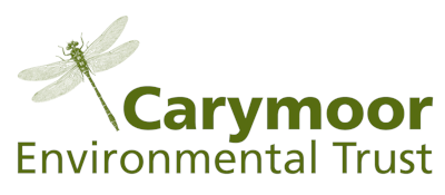 Carymoor Charity Open Day - Saturday 20th August 2022