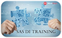 Enhance Your Career With SAS DI Certification