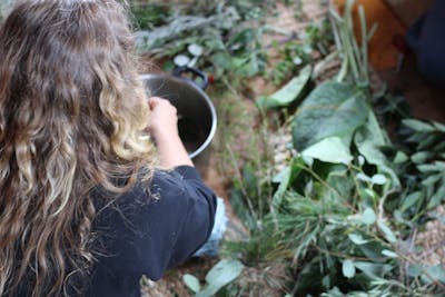 Foraging workshop
