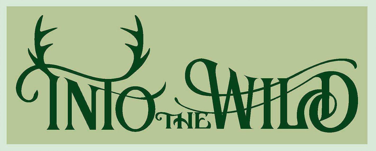 Into The Wild 2024   Logo Rzyglg 