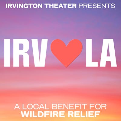 IT Fundraiser for LA Wildfire Victims