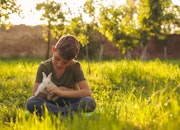 Childhood cruelty to animals: What does it mean and who is ‘at risk’?