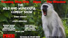 The Wild and Wonderful Comedy Show