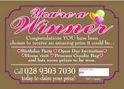 You're a "Winner" Ticket (PRINCESS)