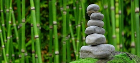 Stress reduction through mindfulness practice, meditation. Topic: gratitude