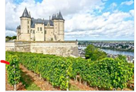 Loire Valley Wines