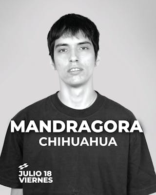 Mandragora en Chihuahua