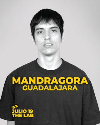 Mandragora en Guadalajara