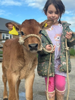 Meet a calf