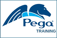 PEGA Training