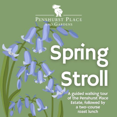 Penshurst Place Estate Spring Stroll & Lunch