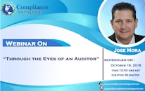 Through the Eyes of an Auditor