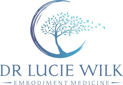 WellFest SEC 2025 Talk - A Multidimensional Approach to Healing Chronic Illness