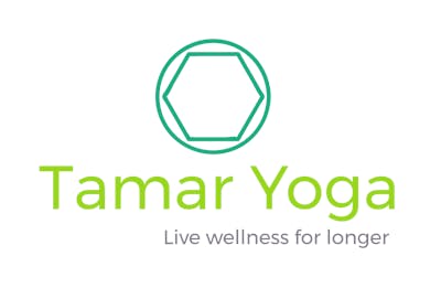 WellFest SEC 2025 Scaravelli-Inspired Yoga with Hannah
