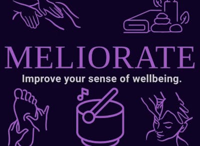 WellFest SEC 2025 Soundbath with Jo