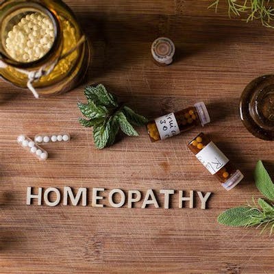 WellFest SEC 2025 Talk on Homeopathy with Wendy